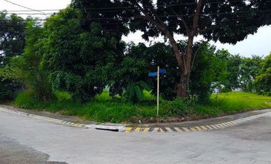 Stunning Vacant Lot for Sale in Sucat, Paranaque City