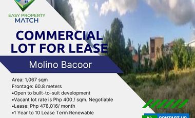 Commercial Land for rent in Cavite, Las Pinas City
