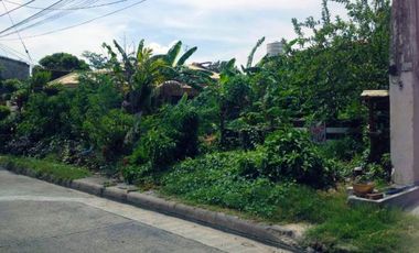 Stunning Vacant Lot for Sale in Sucat, Paranaque City