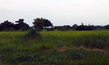 Stunning Vacant Lot for Sale in Sucat, Paranaque City