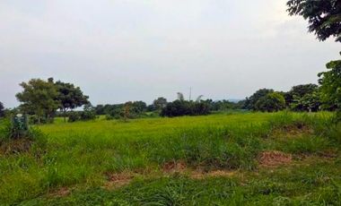 Stunning Vacant Lot for Sale in Sucat, Paranaque City