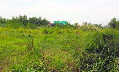 Stunning Vacant Lot for Sale in Sucat, Paranaque City