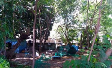 Stunning Vacant Lot for Sale in Sucat, Paranaque City