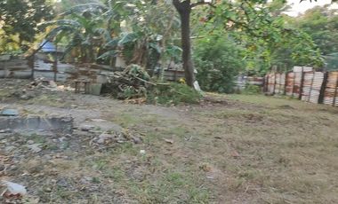 For Sale - Lot near Lopez Commercial., Sucat Rd. Brgy. San Isidro, Parañaque