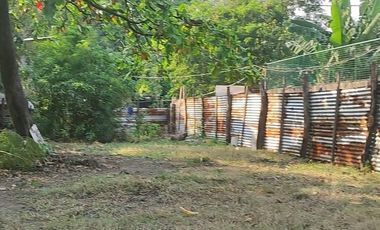 For Sale - Lot near Lopez Commercial., Sucat Rd. Brgy. San Isidro, Parañaque