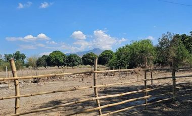 300 Sq. Meters Residential Lot ( Installment)