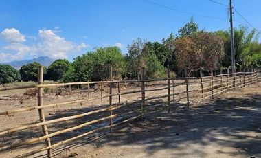 300 Sq. Meters Residential Lot ( Installment)