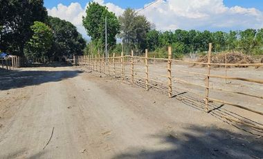 300 Sq. Meters Residential Lot ( Installment)