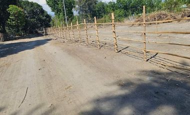 300 Sq. Meters Residential Lot ( Installment)