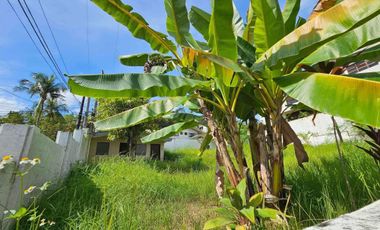 For Sale: House and Lot in Silver Hills