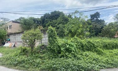 CORNER LOT FOR SALE IN CLARK ANGELES, PAMPANGA - NEAR SM CITY CLARK