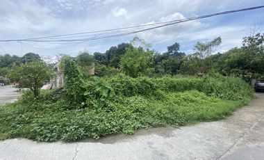 CORNER LOT FOR SALE IN CLARK ANGELES, PAMPANGA - NEAR SM CITY CLARK