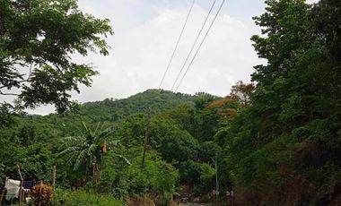 Farm/Residential/Commercial Lot For Sale in Tagaytay. Along Tagaytay Calamba Rd