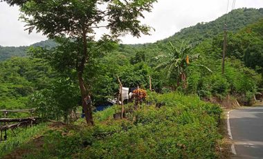 Farm/Residential/Commercial Lot For Sale in Tagaytay. Along Tagaytay Calamba Rd