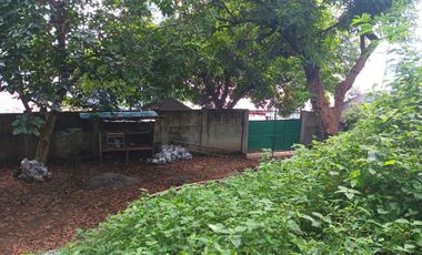 3 HECTARES LAND FOR SALE IN LIPA CITY