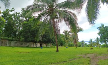 3 HECTARES LAND FOR SALE IN LIPA CITY