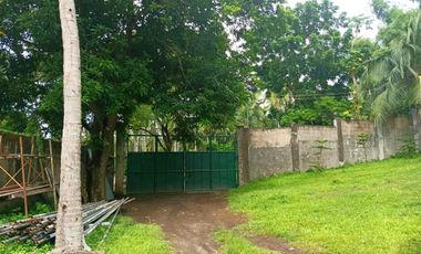 3 HECTARES LAND FOR SALE IN LIPA CITY