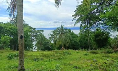 3 HECTARES LAND FOR SALE IN LIPA CITY