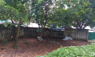 3 HECTARES LAND FOR SALE IN LIPA CITY