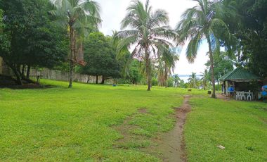 3 HECTARES LAND FOR SALE IN LIPA CITY