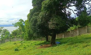 3 HECTARES LAND FOR SALE IN LIPA CITY