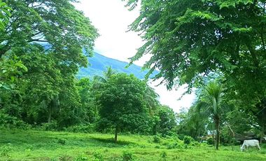 3 HECTARES LAND FOR SALE IN LIPA CITY
