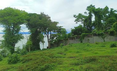3 HECTARES LAND FOR SALE IN LIPA CITY