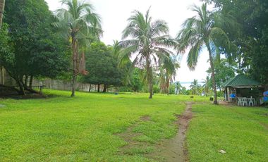3 HECTARES LAND FOR SALE IN LIPA CITY