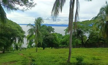 3 HECTARES LAND FOR SALE IN LIPA CITY