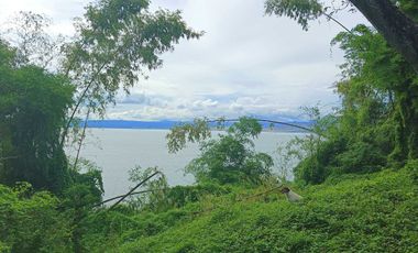 3 HECTARES LAND FOR SALE IN LIPA CITY