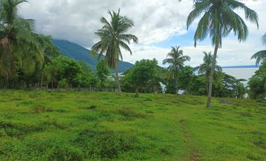 3 HECTARES LAND FOR SALE IN LIPA CITY