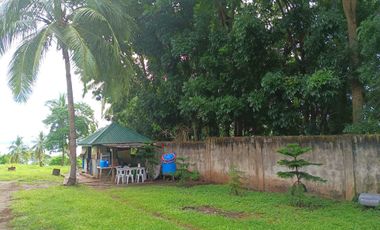 3 HECTARES LAND FOR SALE IN LIPA CITY