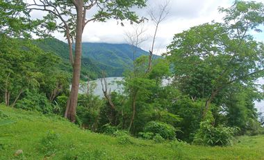 3 HECTARES LAND FOR SALE IN LIPA CITY
