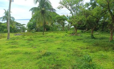 3 HECTARES LAND FOR SALE IN LIPA CITY