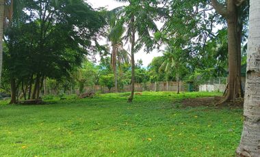 3 HECTARES LAND FOR SALE IN LIPA CITY