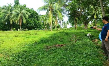 3 HECTARES LAND FOR SALE IN LIPA CITY