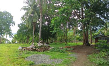 3 HECTARES LAND FOR SALE IN LIPA CITY
