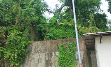 3 HECTARES LAND FOR SALE IN LIPA CITY