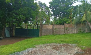 3 HECTARES LAND FOR SALE IN LIPA CITY