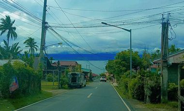 3 HECTARES LAND FOR SALE IN LIPA CITY