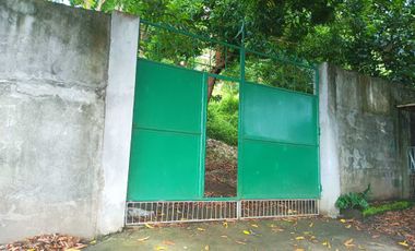 3 HECTARES LAND FOR SALE IN LIPA CITY