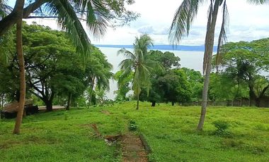 3 HECTARES LAND FOR SALE IN LIPA CITY