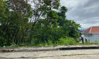 OVERLOOKING LOT IN LAS TERRAZAS SUBD FOR SALE