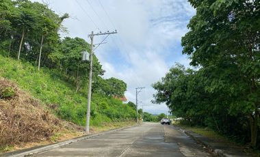 OVERLOOKING LOT IN LAS TERRAZAS SUBD FOR SALE