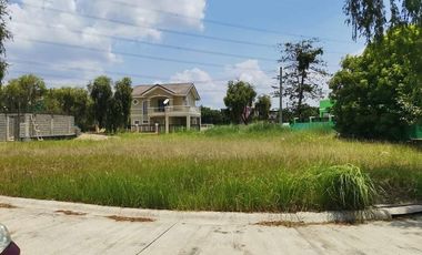 Residential Lot in Camella Santa Barbara, Pangasinan selling 8,500 per sqm only