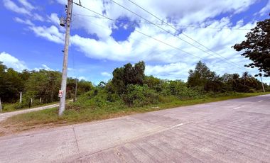 Prime Corner Lot For Sale - Dauis, Bohol