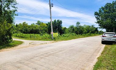 Prime Corner Lot For Sale - Dauis, Bohol