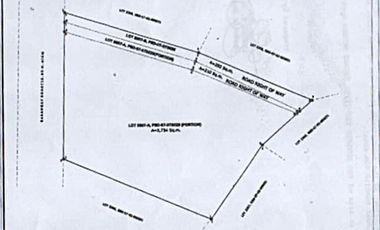 Prime Corner Lot For Sale - Dauis, Bohol