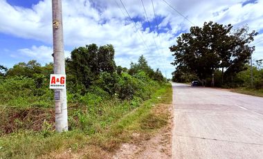 Prime Corner Lot For Sale - Dauis, Bohol