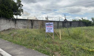 Corner Lot for sale at La Hacienda de Bacolor Pampanga